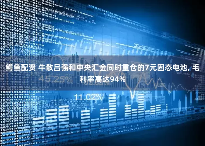 鳄鱼配资 牛散吕强和中央汇金同时重仓的7元固态电池, 毛利率高达94%